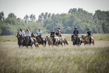 Hungary-Southern Hungary-Great Hungarian Plain Tour